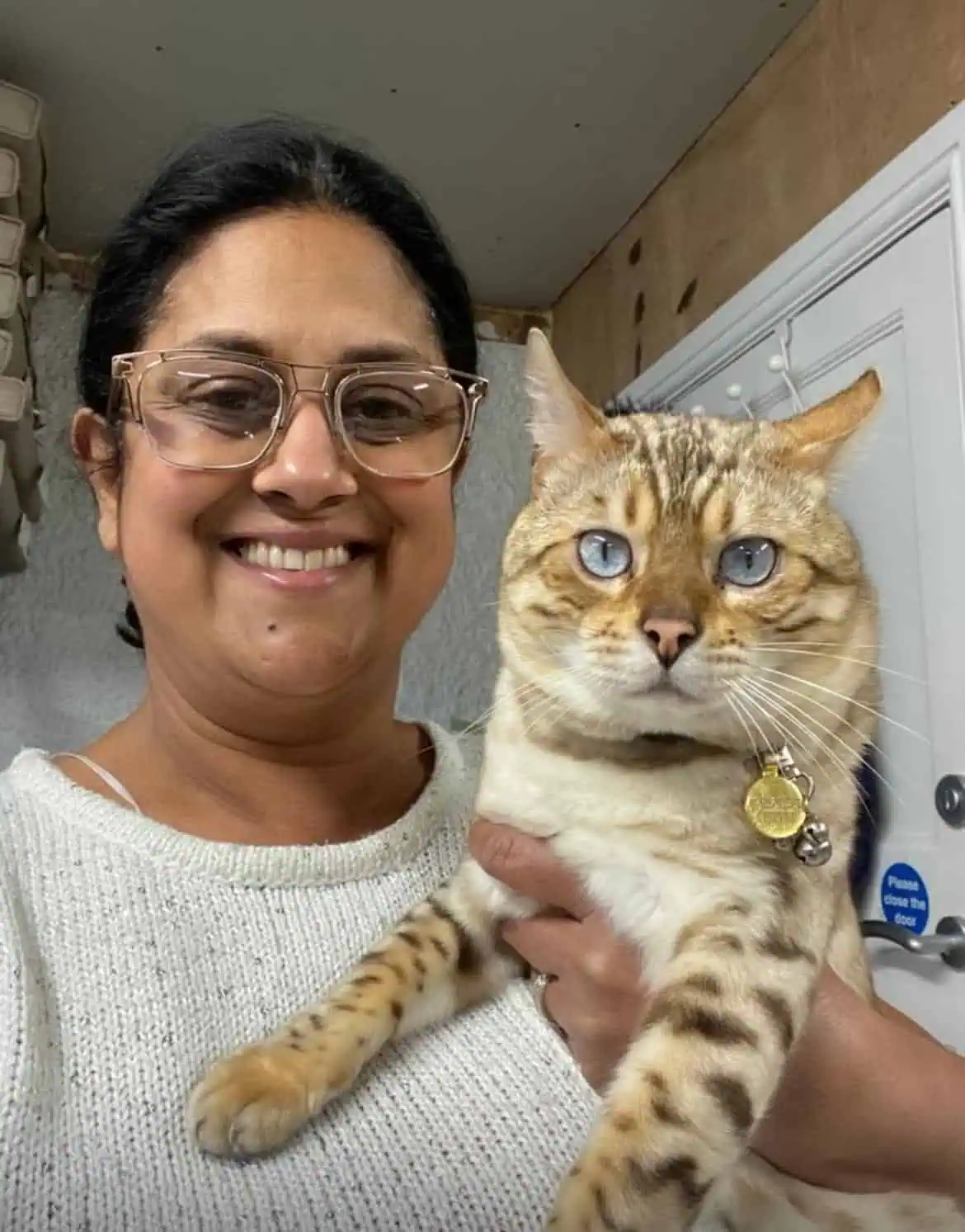 Michelle Surrey Cattery and Cat Care